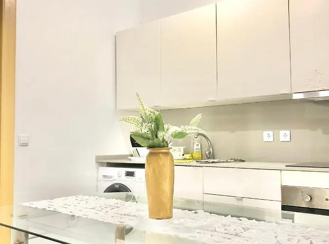 Guest house Frank's House & Happy Belem